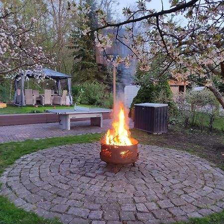Großzügige Ferienwohnung am Waldesrand im Seenland Lauta Exterior foto
