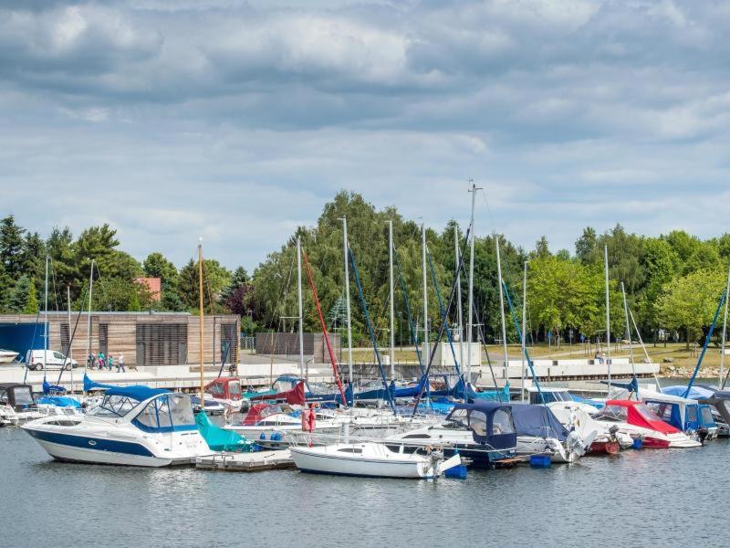 Großzügige Ferienwohnung am Waldesrand im Seenland Lauta Exterior foto