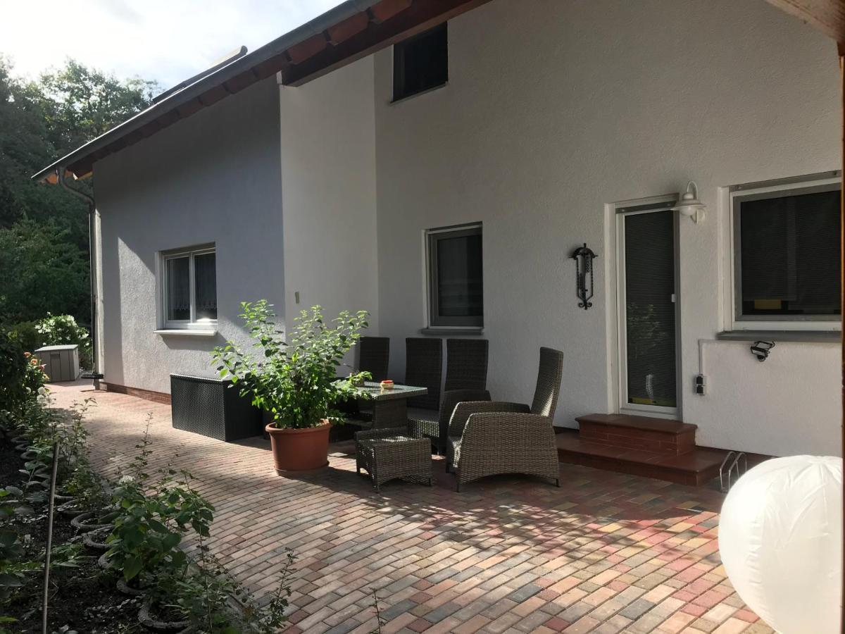 Großzügige Ferienwohnung am Waldesrand im Seenland Lauta Exterior foto