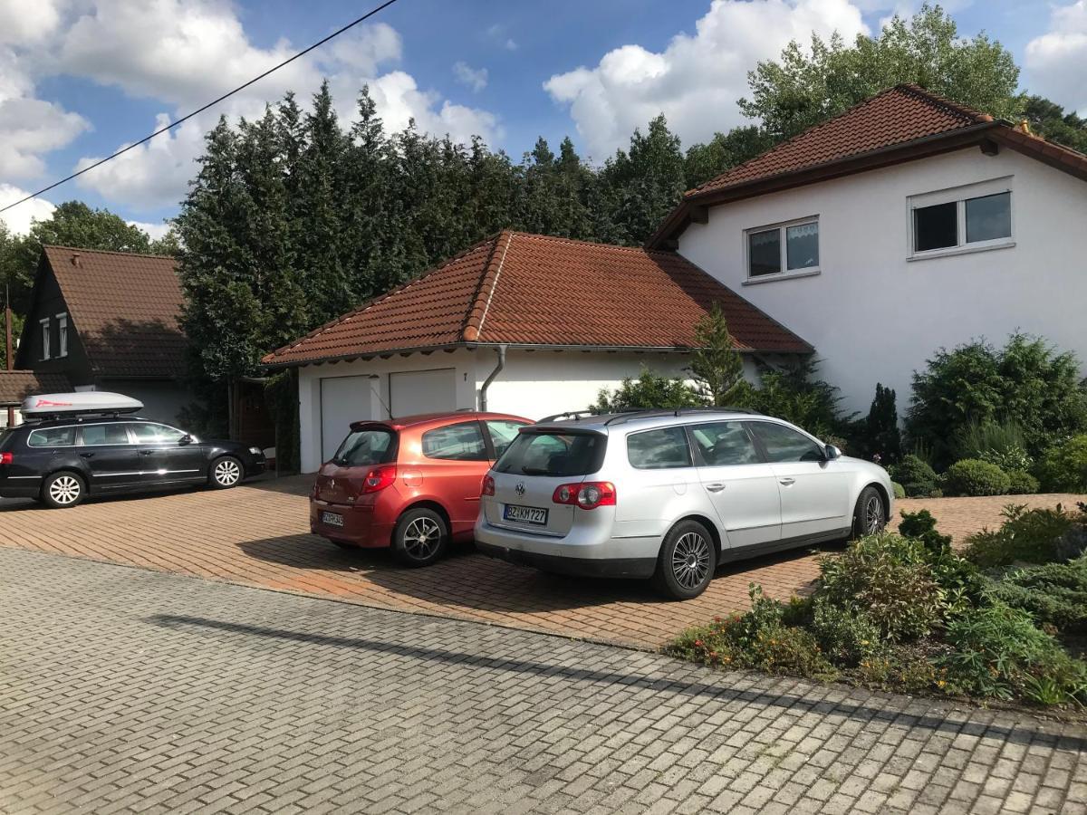 Großzügige Ferienwohnung am Waldesrand im Seenland Lauta Exterior foto