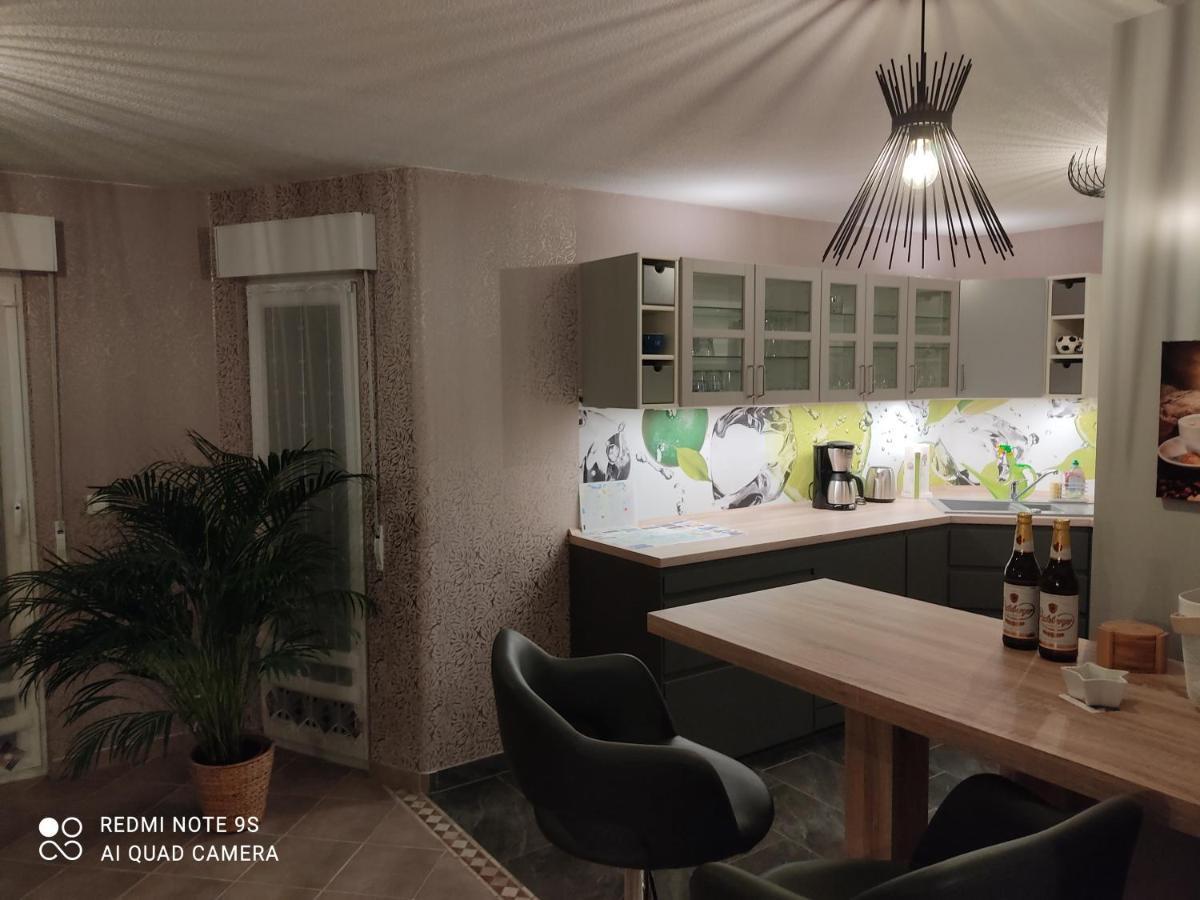 Großzügige Ferienwohnung am Waldesrand im Seenland Lauta Exterior foto