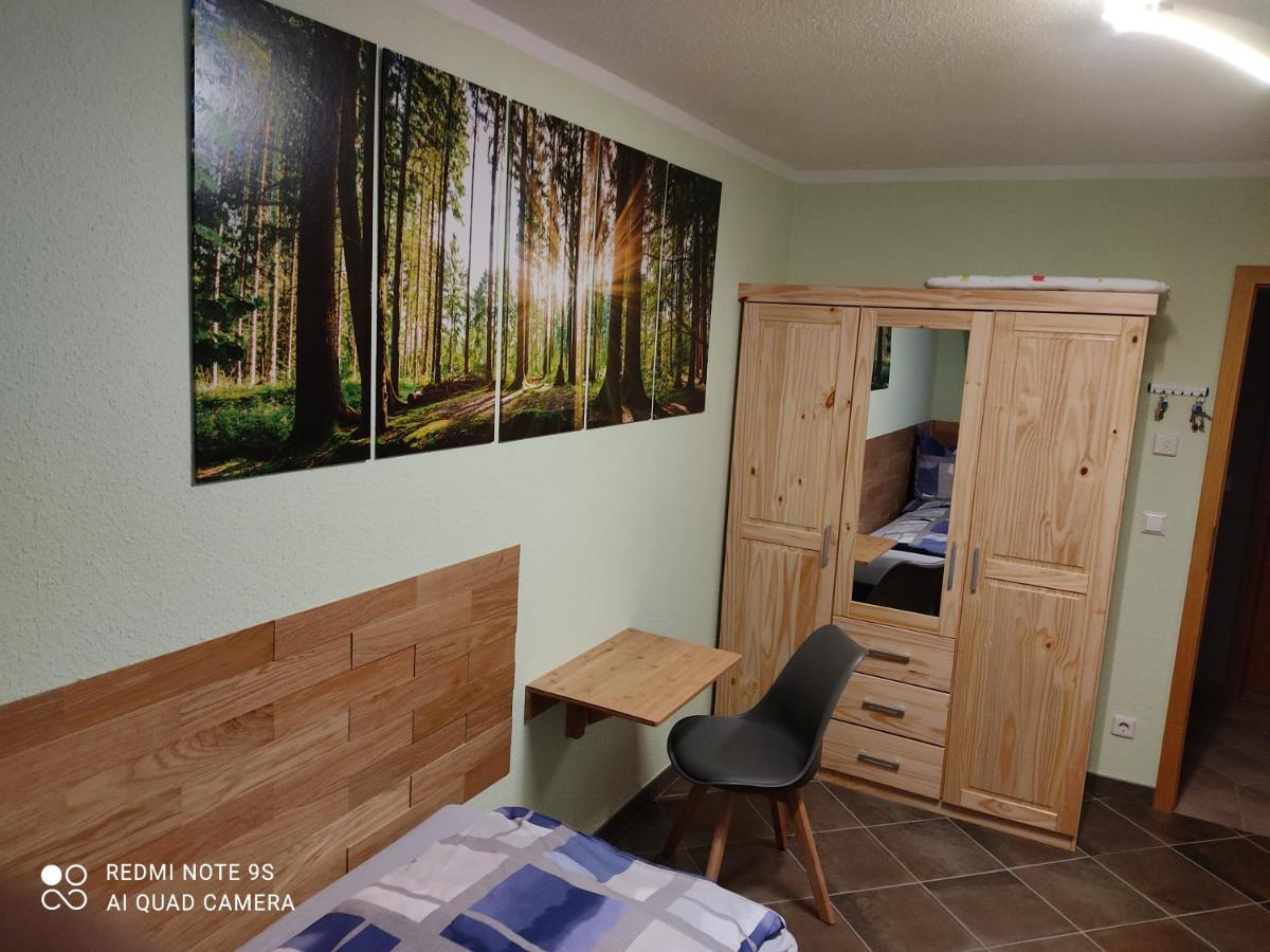 Großzügige Ferienwohnung am Waldesrand im Seenland Lauta Exterior foto