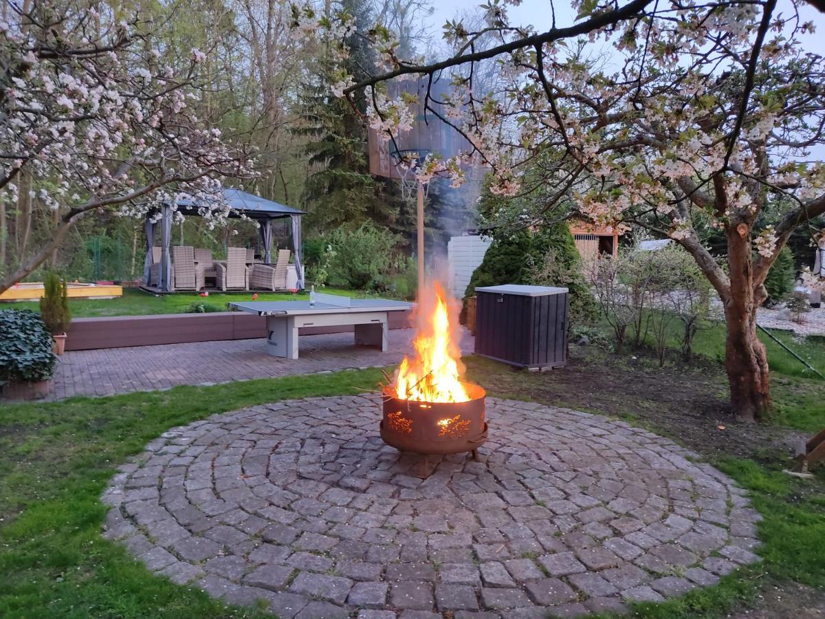 Großzügige Ferienwohnung am Waldesrand im Seenland Lauta Exterior foto