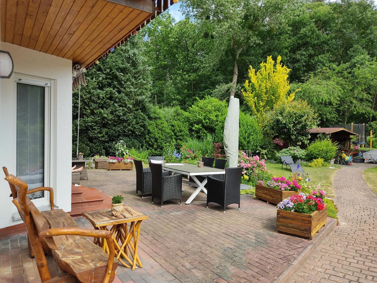 Großzügige Ferienwohnung am Waldesrand im Seenland Lauta Exterior foto